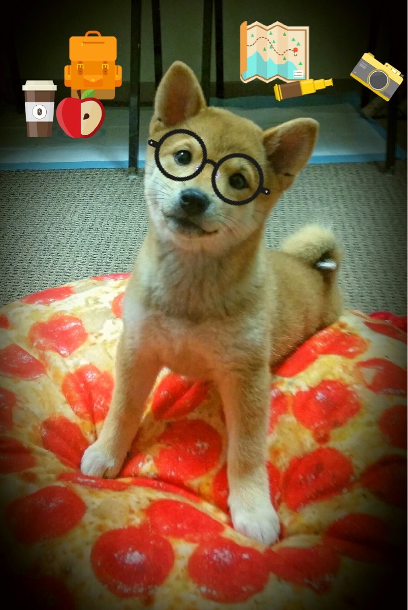 开云真人娱乐官网-_未来运动科技展：创新引领体育新时代_，未来体育发展