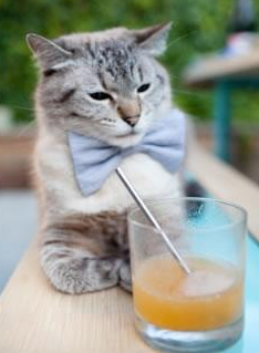 开yun体育-“夜幕追逐：黑夜中的极速追击”，夜幕追击通关技巧