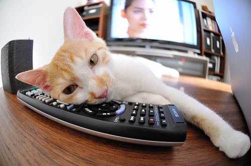 开云官网登录-新兴电竞游戏崭露头角，市场竞争日趋激烈，电竞新平台