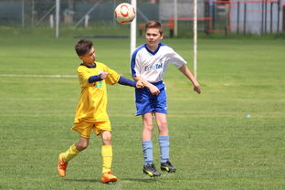 开云esports-塞尔维亚男篮在欧洲预赛中奋勇前进,冲击奥运荣耀,塞尔维亚男子足球队欧洲杯